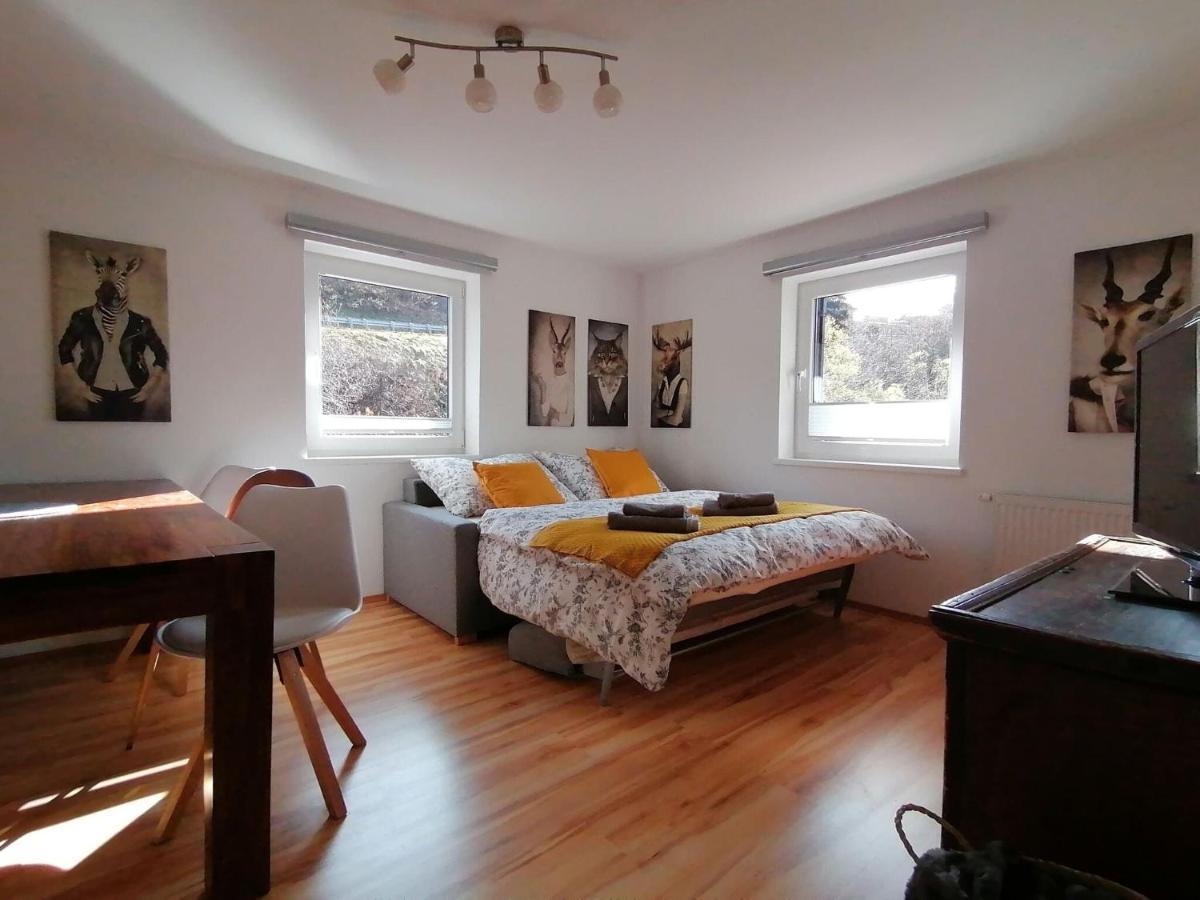 Apartment In Dienten With Mountain Views ديتن ام هوكونغ المظهر الخارجي الصورة